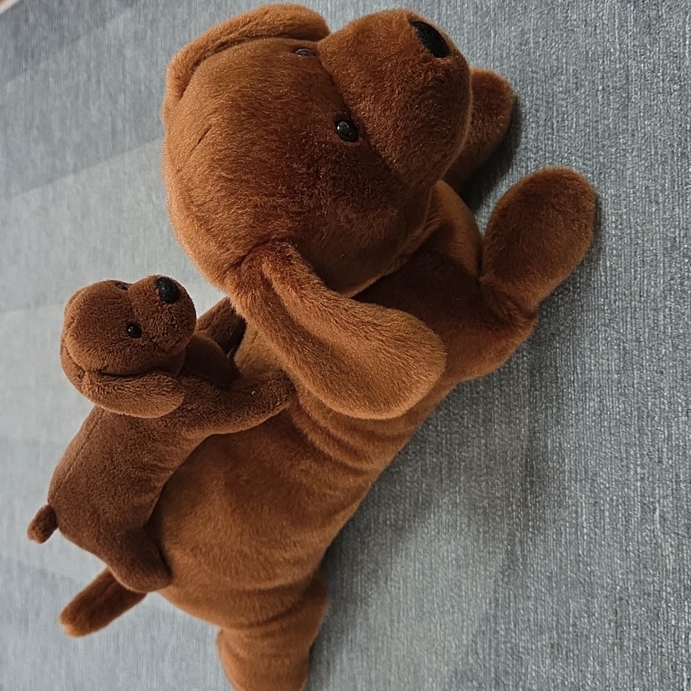 Aurora Dachshund Dog with Baby-Brown